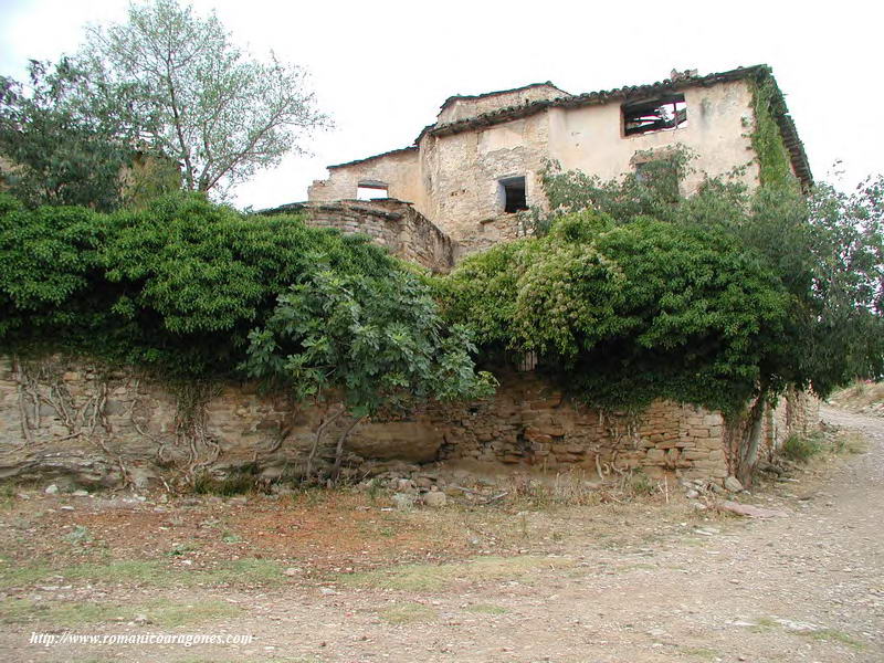 ENTRE LA VEGETACIN, ASOMA LA CABECERA DEL TEMPLO